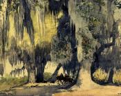 温斯洛 荷默 : Live Oaks